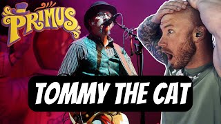 Drummer Reacts To - Primus Tommy the Cat Live FIRST TIME HEARING Reaction