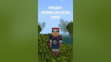 Minecraft 1.19.1 PRE-RELEASE 5 (Part 1) - Matching Chat Report Description Title #shorts