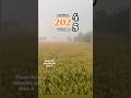 #thandi#nayasaal#newyear#2025#2024#kisan#farmer#farming#ytshorts#viralaudio#trending#plzsubscribe