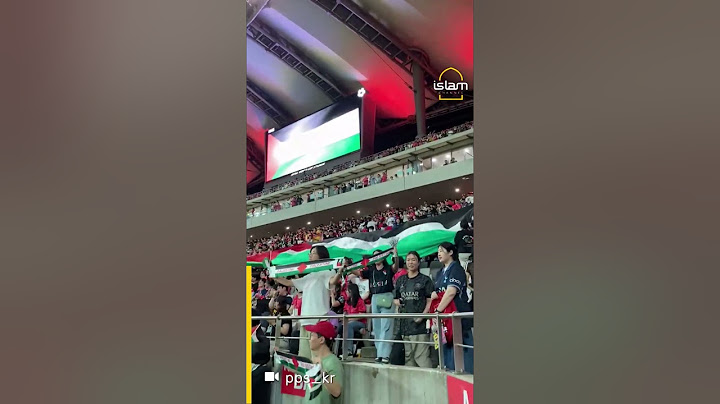 South Korean football fans cheer for Palestine at World Cup 2026 qualifier