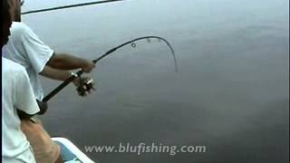 Fishing video: Ray 23 kg