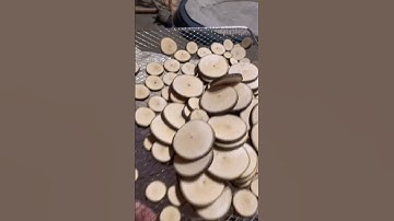 Amazing DIY Tree Branch Wood Craft Idea