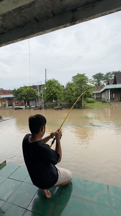 Mancing Saat Banjir Dapat Ikan Lele Ukuran Monster #lele #banjir #lelemonster #mancing #menemukan