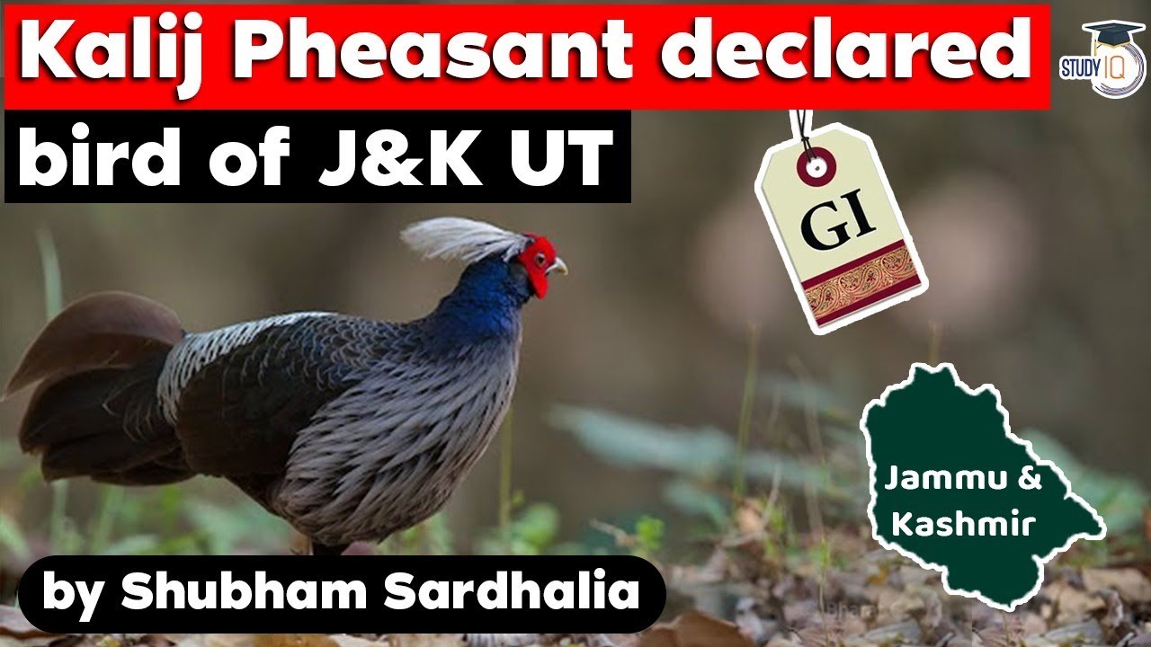 Jammu and Kashmir Government declares Kalij Pheasant as bird of UT