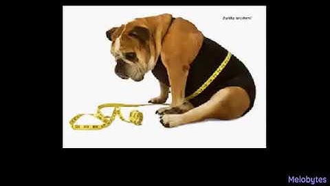 Arms Of Justice x Melobytes - applicable {OFFICIAL AUDIO}