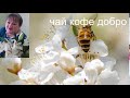 Стрим+Бот ,знакомство общение