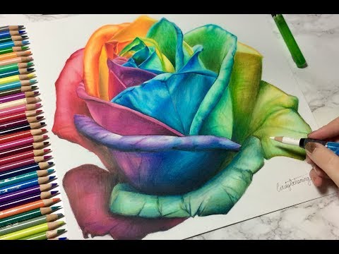 Vidéo: Dessiner Une Rose Réaliste Au Crayon De Couleur Avec Gary Greene