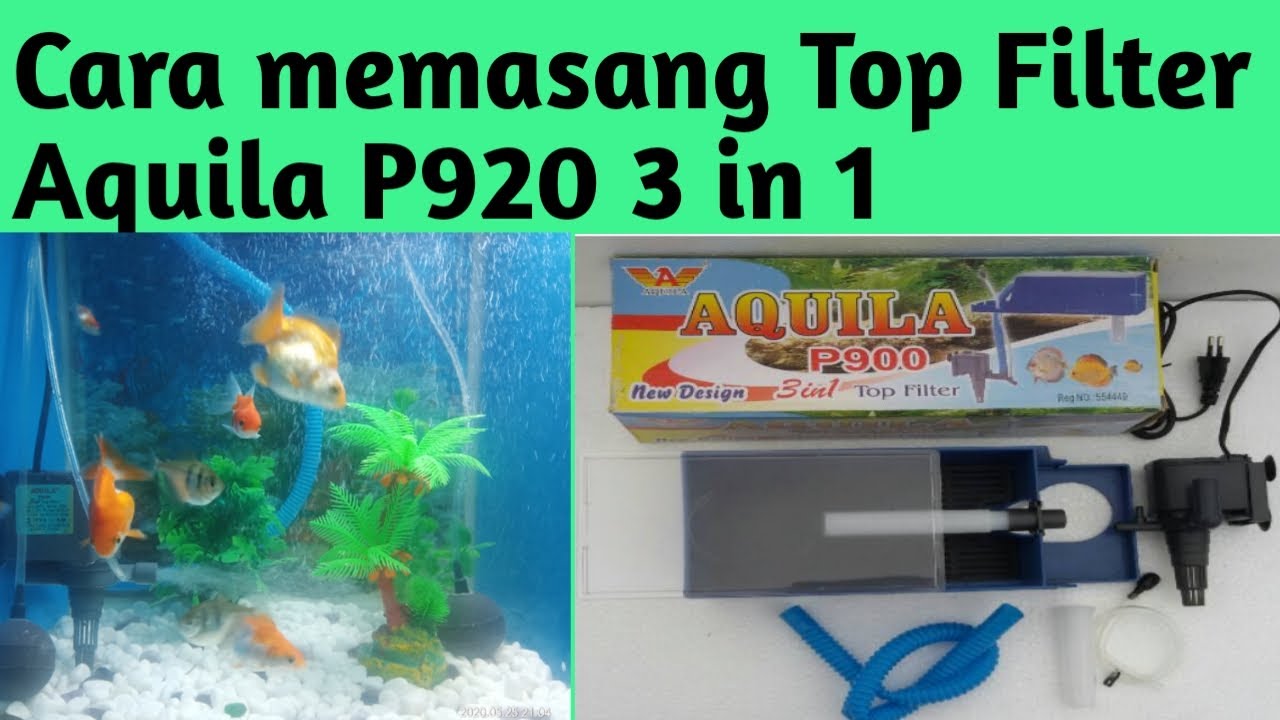 Cara Memasang Undergravel Filter Aquarium - FRESHWATER TANKS