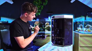 This Robot Tests my Aquarium Water AUTOMATICALLY - Reef Kinetics ReefBot Lab by Danny's Aquariums 9,352 views 10 months ago 4 minutes, 35 seconds