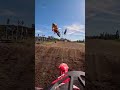 WILD Battles from 2025 MXGP of Sweden