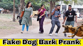 Fake Dog Bark Prank in India 2024 - Best Funny Prank in Public | By TCI