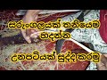 සරුංගලයක් හදන්න උනපටියක් තනියෙම සුද්ද කරමු/sarungalayk hadanna unapatiyak sudda karamu/kite