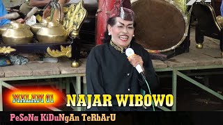 kejungan najar wibowo part 2 malam