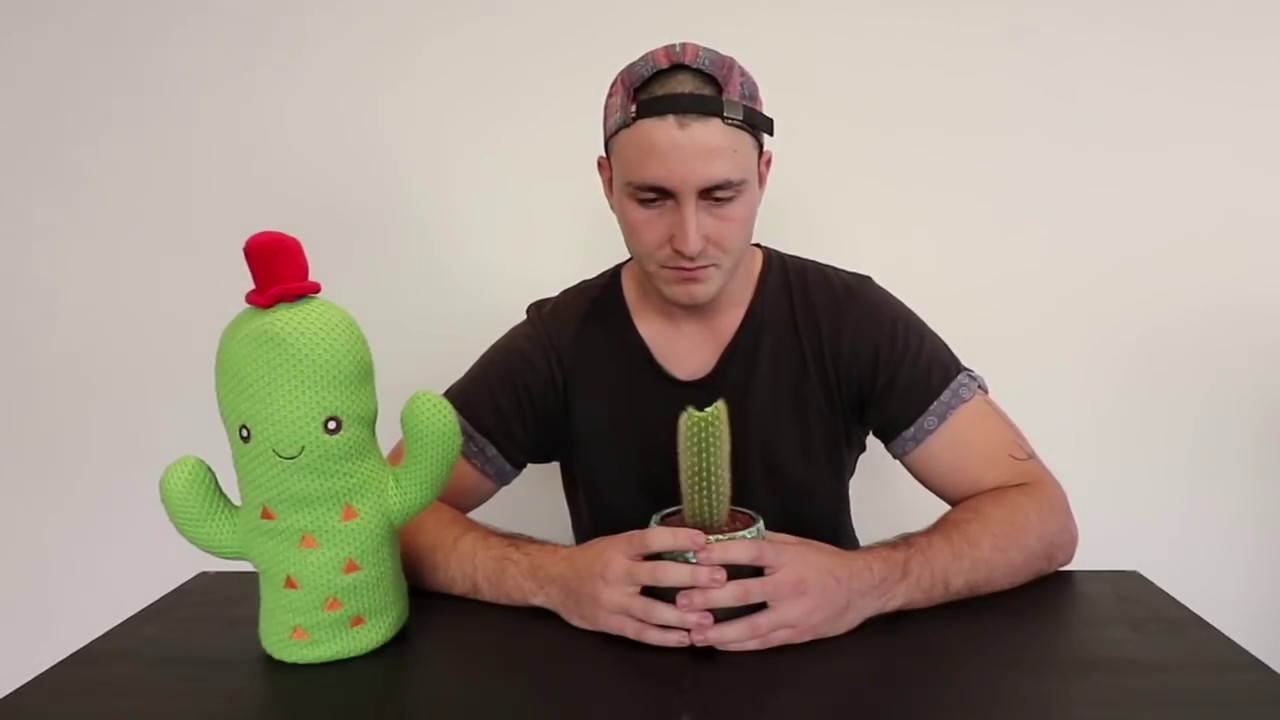 Youtuber Eats a Cactus for Revenue - Youtuber Eats a Cactus for Revenue