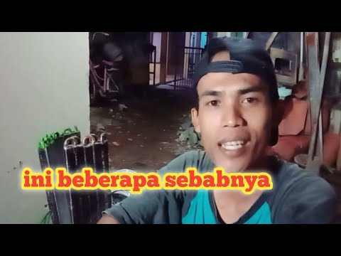 Video: Bau freon seperti siapa?