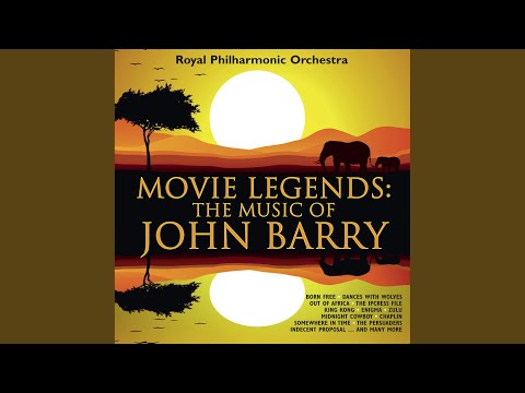 Born Free: Main Theme - The Lions At Play (arr. N. Raine for orchestra)