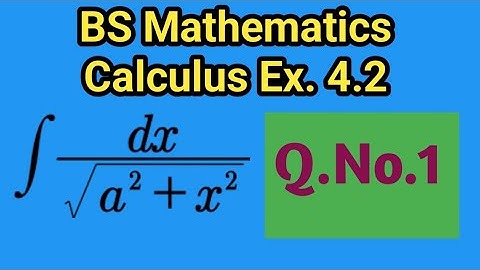 BS  Math Calculus Exercise 4.2 S.M Yusuf Techniques of Integration