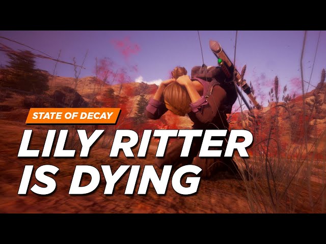 Mod] Lilly Ritter DLC? HumanFemaleNetwork_v_Lily : r/StateOfDecay