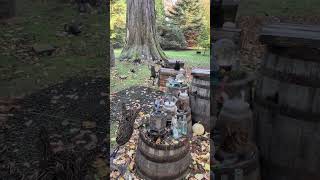 Did You Know You Can See The Illuminated Halloween Trail At Wimpole Hall For Free?