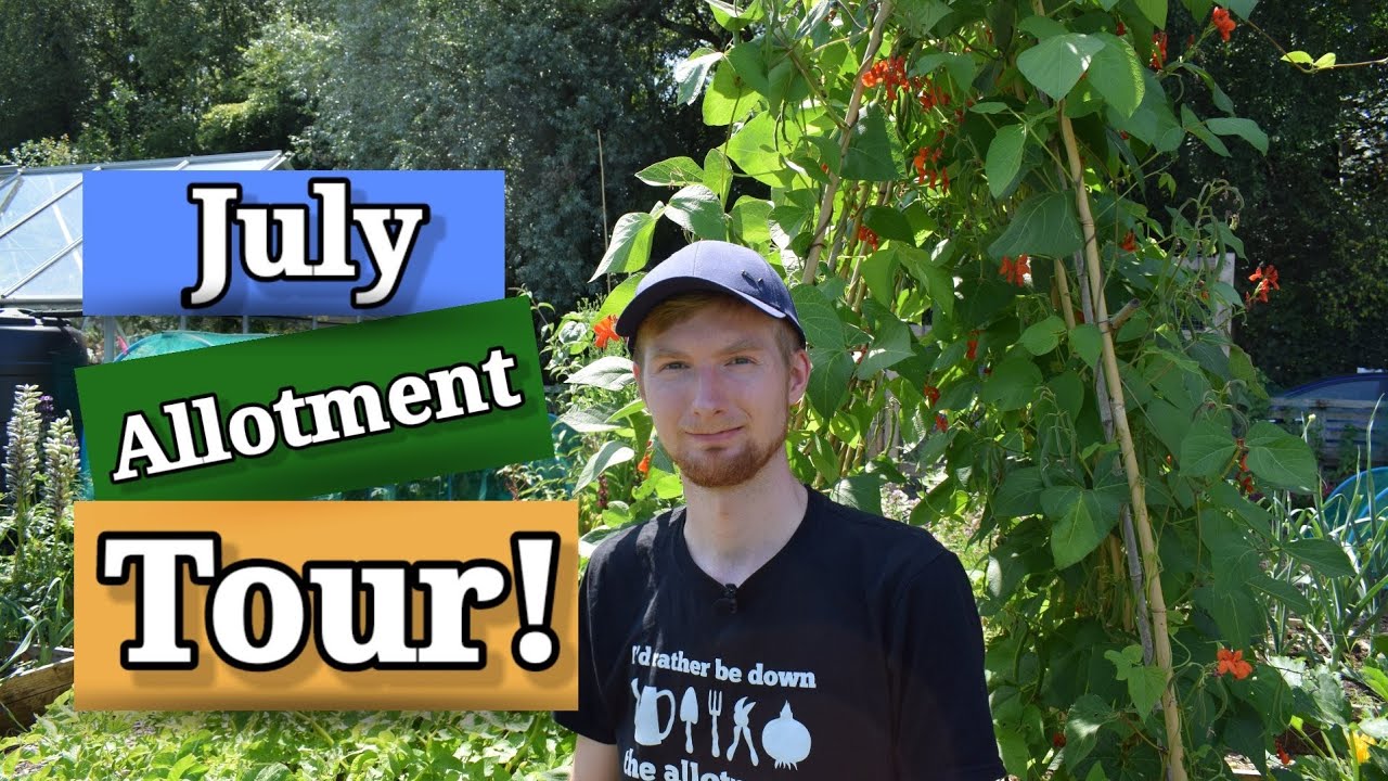 July vegetable garden Tour 2022|Full allotment tour| 