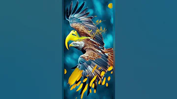 نغمه هيبه صبر الصقور 