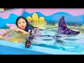 Tiny Hamster Scares My Mermaid Friend with Bug Mp3 Song