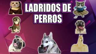 🐶 Ladridos de Perros 😎 Barking Dogs 🐶 Descarga la APP de ladridos de perros y cachorros aqui🙉 screenshot 1
