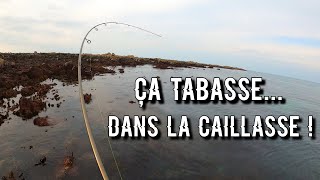 Pêche à la vieille EN PLEIN COEUR DES ROCHERS de Normandie