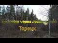 Теплая зима в Торецке. Прогулка через лесничество