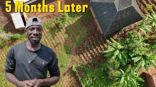 5 Months Later - Turning A Small Farm Into A Food Forest