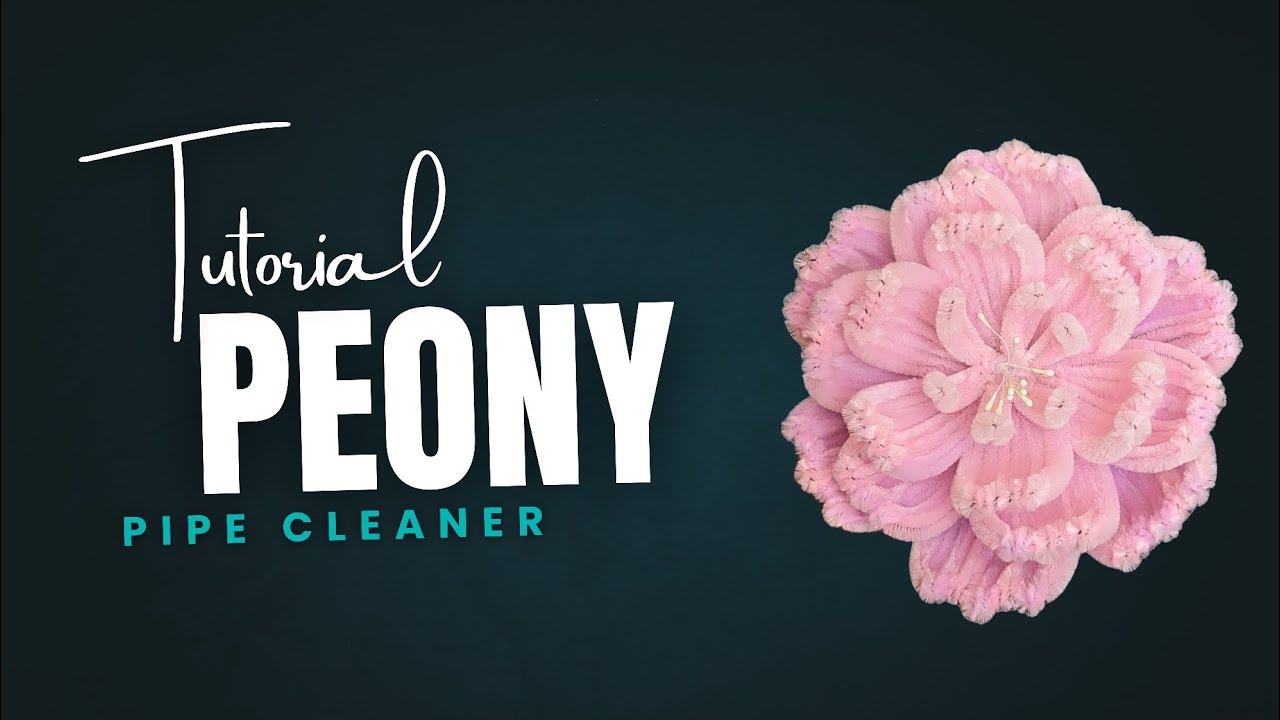 DIY Pipe Cleaner Flower Peony | cara membuat  bunga Peony dari kawat bulu (handmade gift ideas)