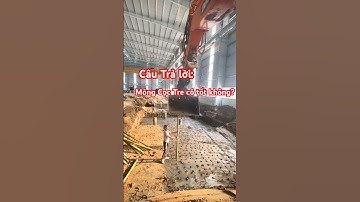 Móng cọc tre có tốt không