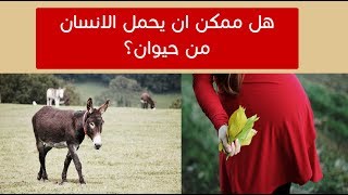 تزاوج البشر مع الحيوانات .. ما بين الأساطير و الحقائق العلمية ! تزاوج البشر مع الحيوانات .. ما بين الأساطير و الحقائق العلمية !