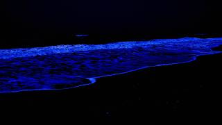 Dark Ocean Waves at Night - Organic White Noise, Black Screen for Sensory Relaxation.