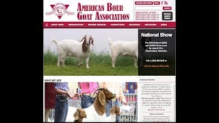 How To Register Your Boer Goats Abga Explained
