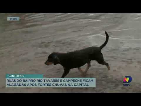 Ruas do bairro Rio Tavares e Campeche ficam alagadas após fortes chuvas em Florianópolis