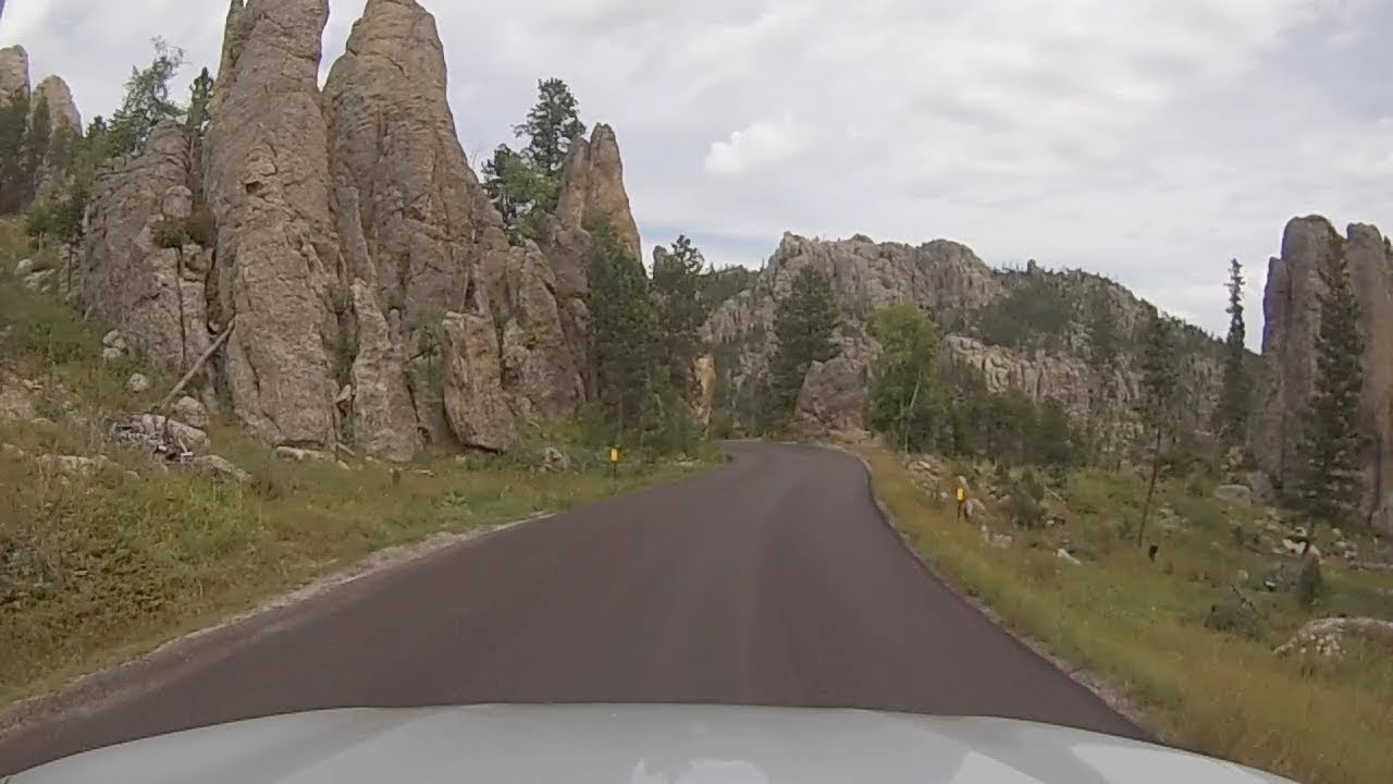 Black Hills, South Dakota Custer State Park Driving the Needles