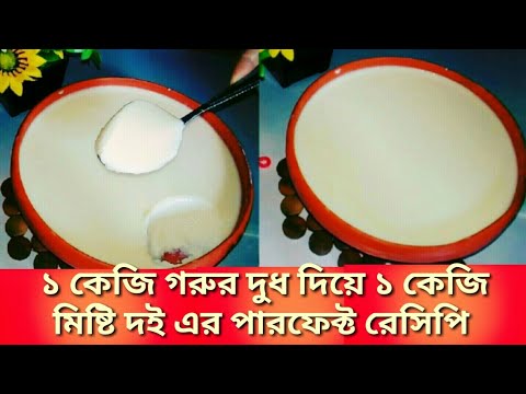 দই রেসিপি //১ কেজি গরুর দুধ দিয়ে ১ কেজি মিষ্টি দই বানানোর পারফেক্ট রেসিপি।