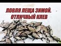 Ловля леща зимой. Подводное видео. День второй