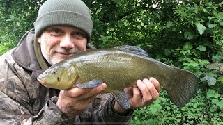 Caught by design, a tench from a small pool by Stewart Bloor 127 views 9 days ago 2 minutes, 19 seconds