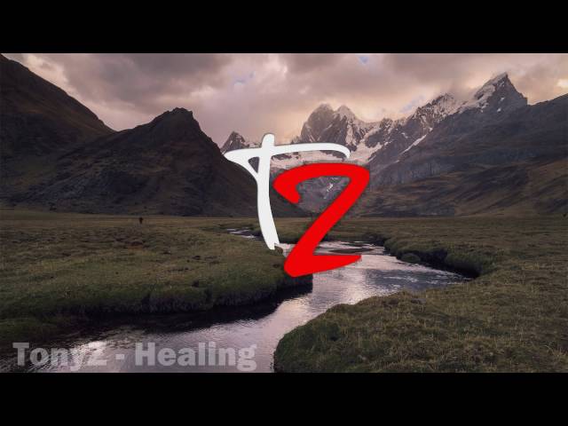 TonyZ - Healing (ORIGINAL MIX) (Alan Walker Style) class=