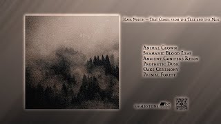 Kaya North — That Comes from the Trees and the Mist (2019, The Eagle Stone Collective)