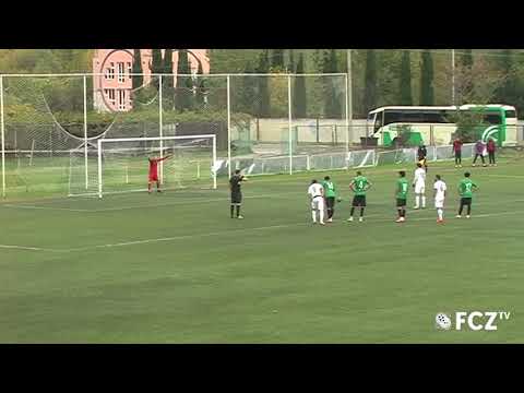 ფრე  ბორჯომთან პრინციპულ შეხვედრაში