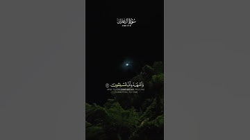 أرح سمعك وقلبك🎧#تلاوة_خاشعة #سورة_آل_عمران #تلاوة_هادئة #تلاوة_مميزة #صلوا_على_النبي #ارح_قلبك