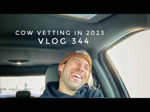 Cow Vetting in 2023 vlog 343