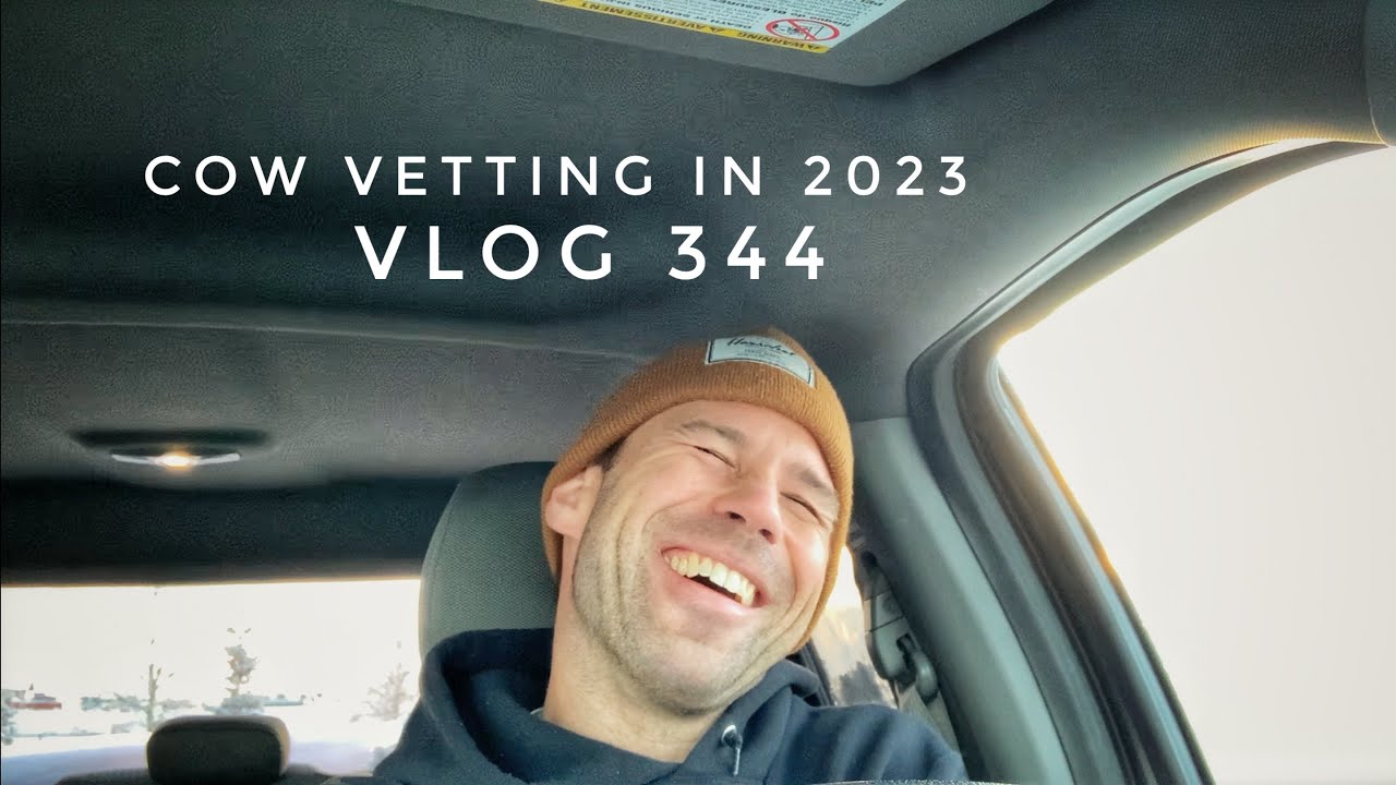 Cow Vetting in 2023 vlog 343
