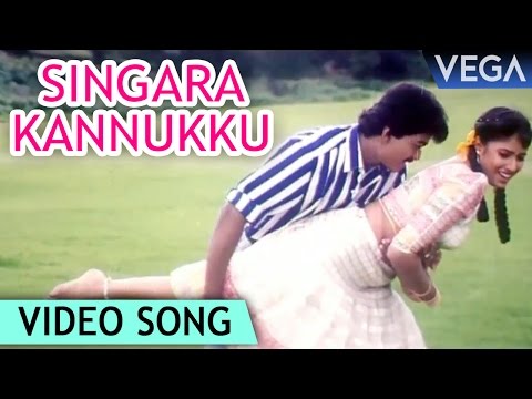 Singara Kannukku Full Video Song | Vishnu Tamil Movie Songs | Vijay | Sanghavi