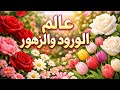 استرخ واستمتع بأجمل مناظر الطبيعة الساحرة