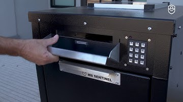 Box Sentinel Dual Door with Letter Slot