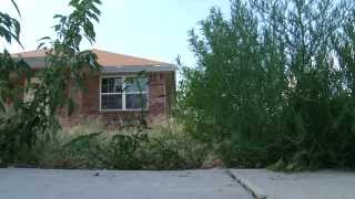 Odessa Code Enforcement - Overgrown Weeds Wealth